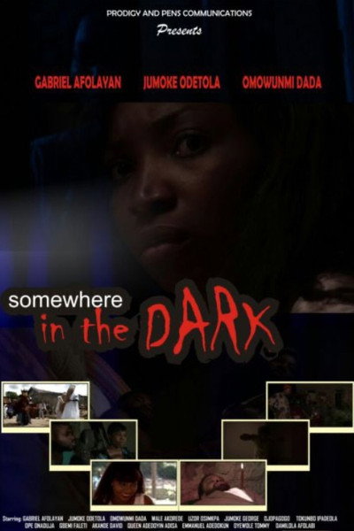 Póster de Somewhere in the Dark