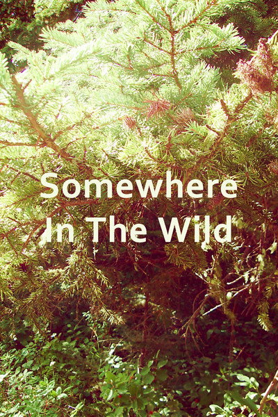 Póster de Somewhere in the Wild