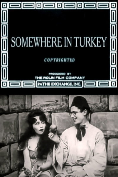 Póster de Somewhere in Turkey