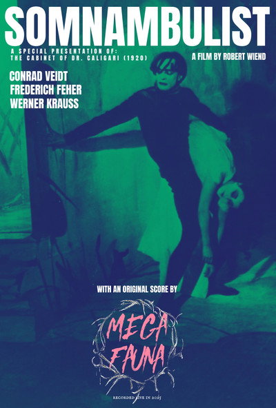 Póster de Somnambulist