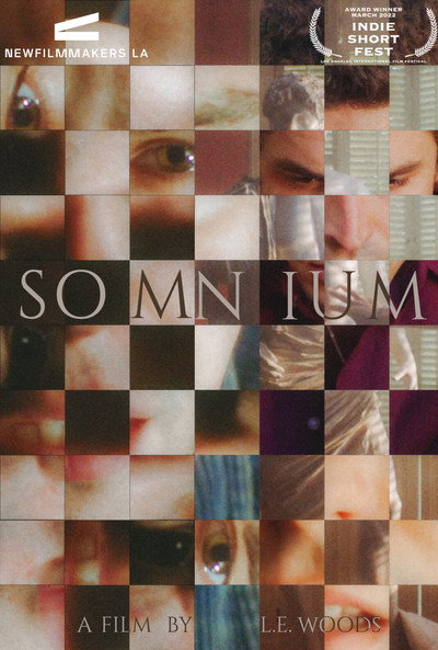 Póster de Somnium