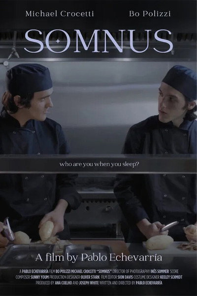 Póster de Somnus