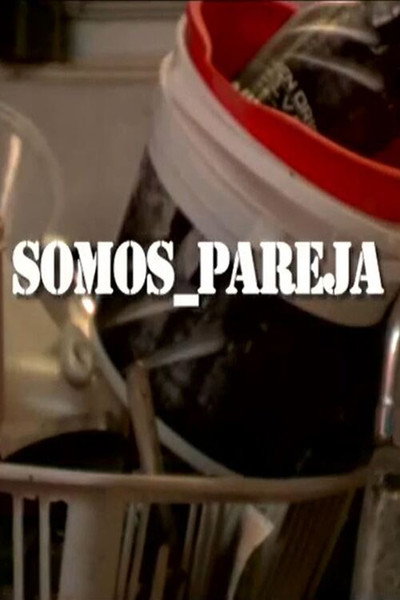 Póster de Somos pareja