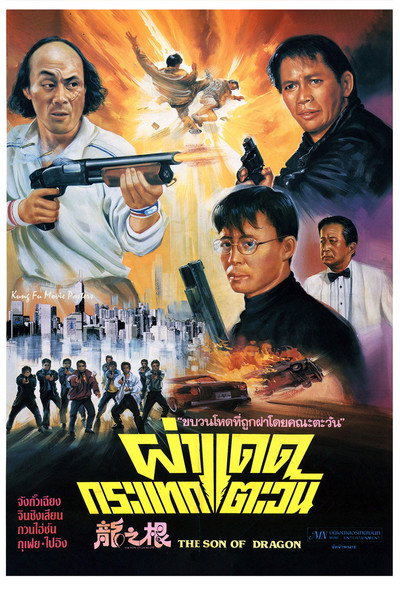 Póster de Son of the Dragon