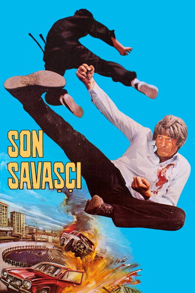 Póster de Son Savasçi