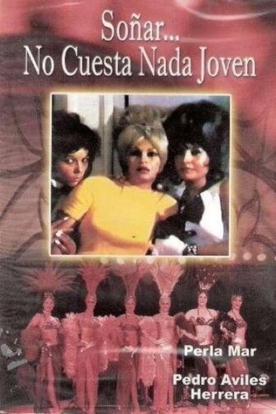 Póster de Soñar no cuesta nada joven