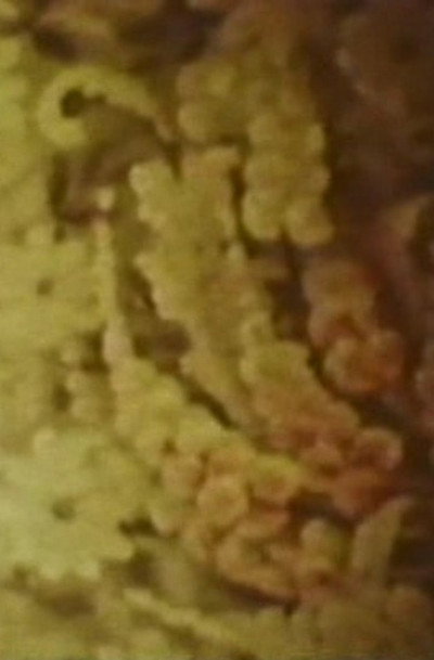 Póster de Song 6