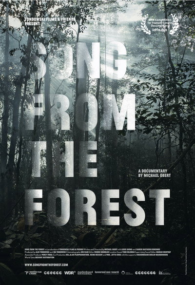 Póster de Song from the Forest