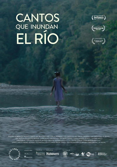 Póster de Songs that Flood the River