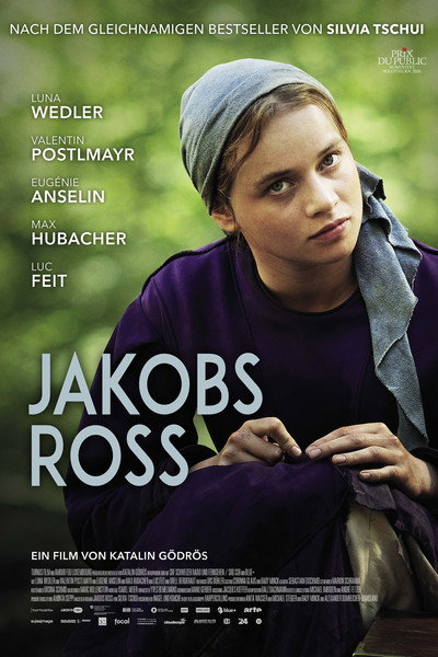 Póster de Songs Within