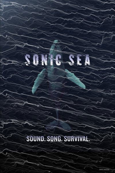 Póster de Sonic Sea