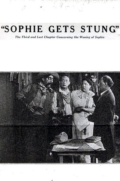 Póster de Sophie Gets Stung