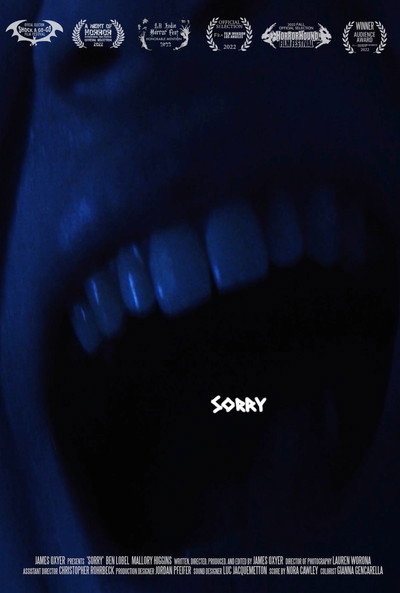 Póster de Sorry