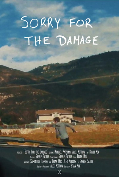 Póster de Sorry for the Damage