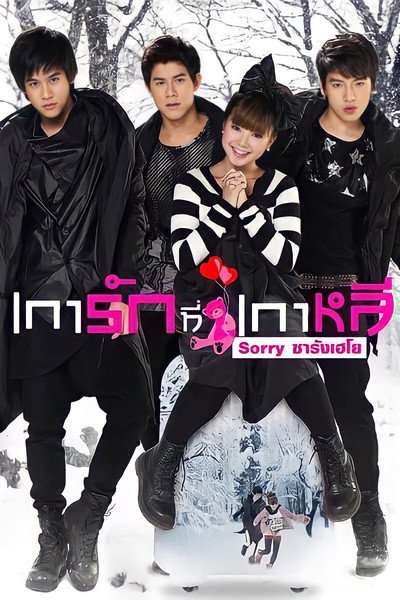 Póster de Sorry Saranghaeyo