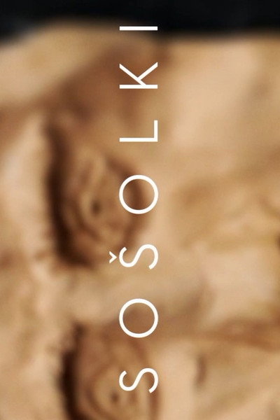 Póster de Sosolki