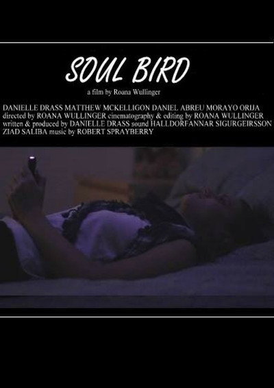 Póster de Soul Bird