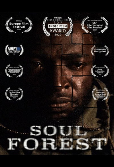 Póster de Soul Forest