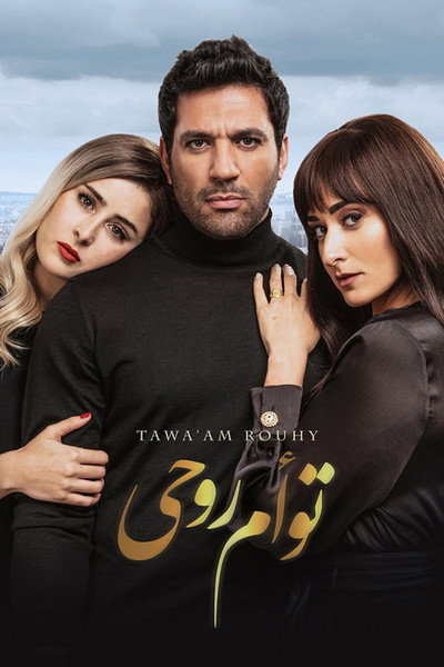 Póster de Soul Mate