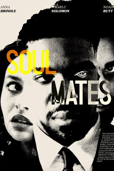 Póster de Soul Mates