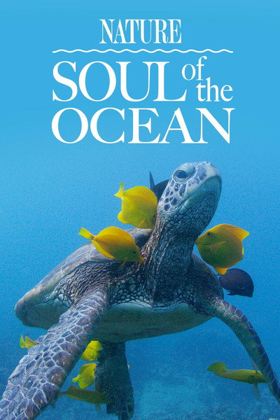 Póster de Soul of the Ocean