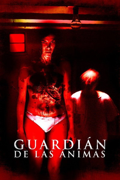 Póster de Soul Walker