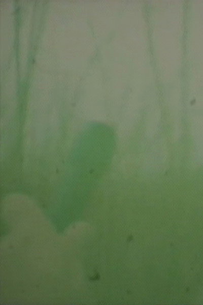 Póster de Sound Hunting