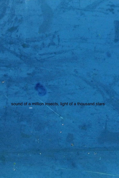 Póster de Sound of a Million Insects, Light of a Thousand Stars