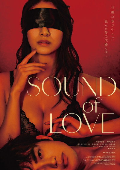 Póster de Sound of Love