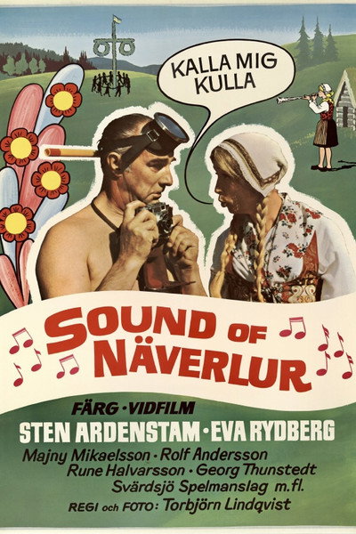 Póster de Sound of Näverlur