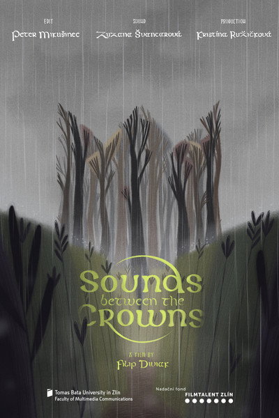 Póster de Sounds between the Crowns