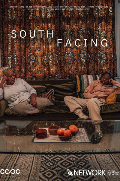 Póster de South Facing