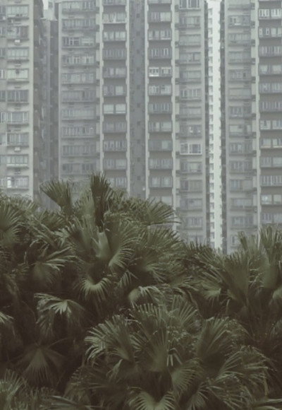 Póster de South Horizons