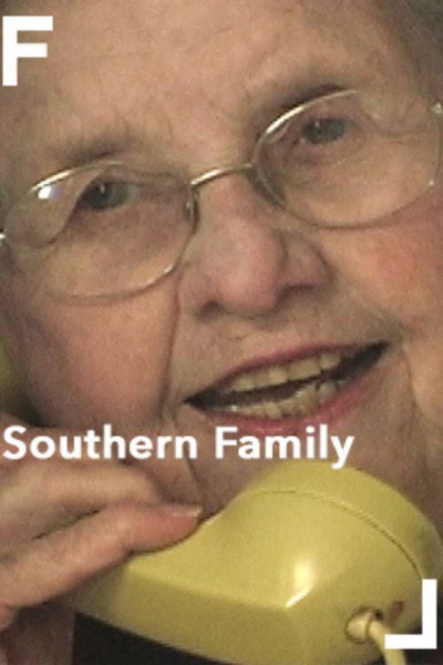 Póster de Southern Family