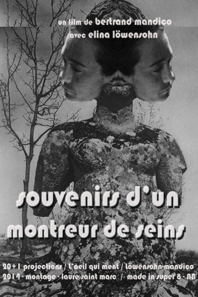 Póster de Souvenirs d'un montreur de seins