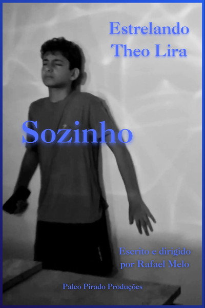 Póster de Sozinho