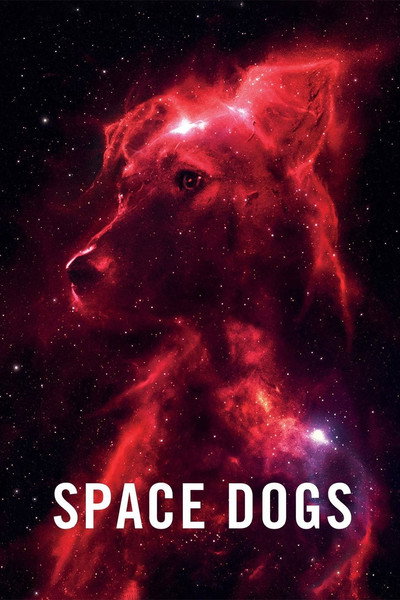 Póster de Space Dogs