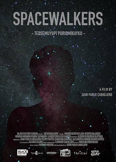 Póster de Spacewalkers