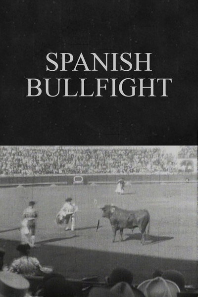 Póster de Spanish Bullfight