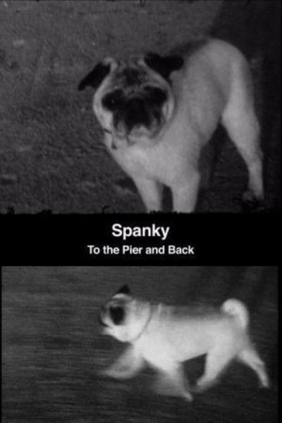 Póster de Spanky: To the Pier and Back