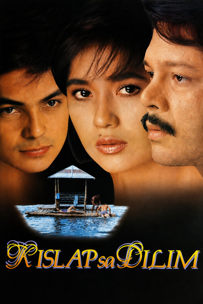 Póster de Spark in the Dark