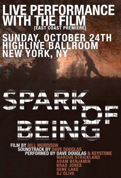 Póster de Spark of Being