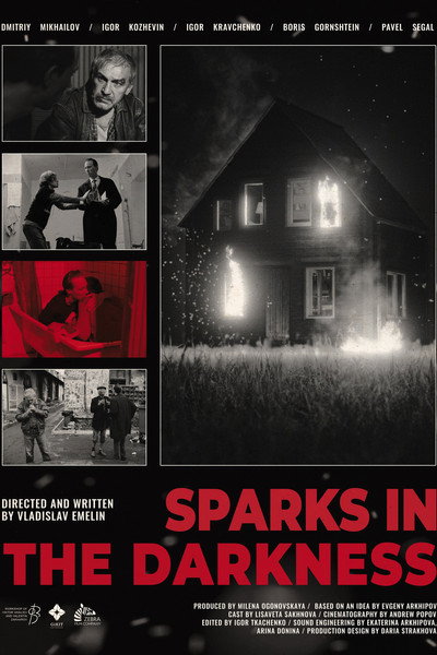 Póster de Sparks in the darkness