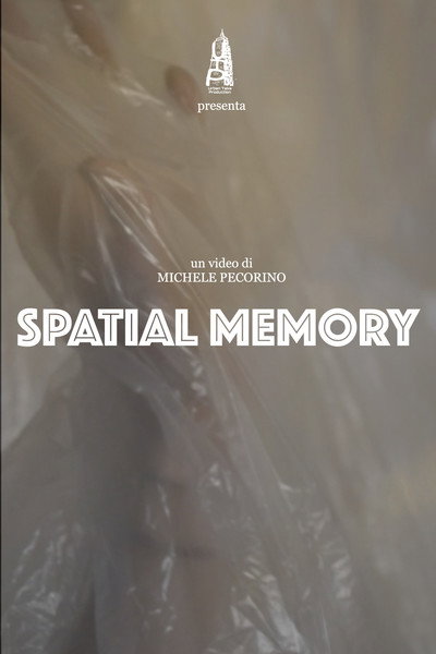 Póster de Spatial Memory