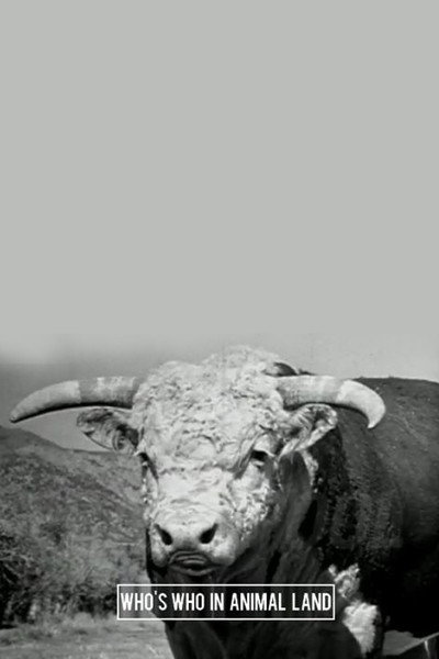 Póster de Speaking of Animals: Who's Who in Animal Land