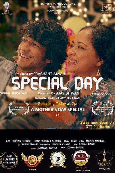Póster de Special Day