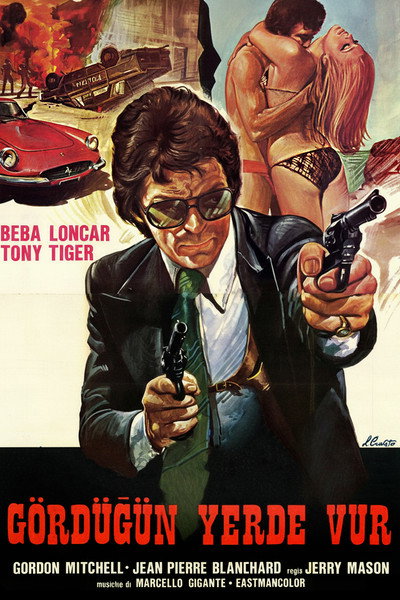Póster de Special Squad Shoots on Sight