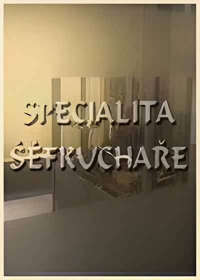 Póster de Specialita séfkuchare