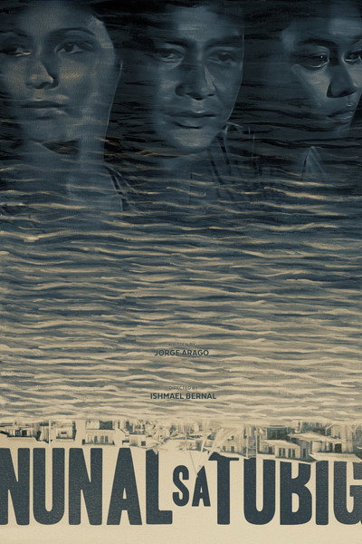 Póster de Speck in the Water
