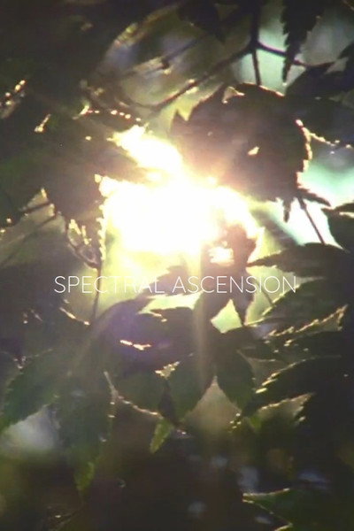 Póster de Spectral Ascension